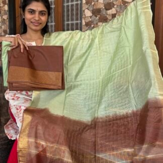 Brown with Pista Mangalagiri silk set