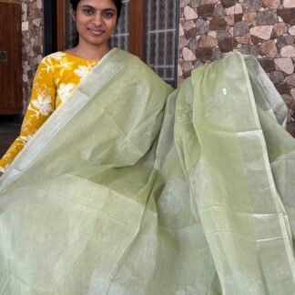 Premium Cotton saree(Mint green)